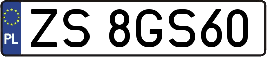 ZS8GS60