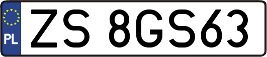 ZS8GS63
