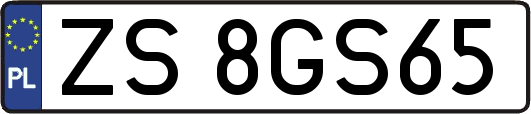 ZS8GS65