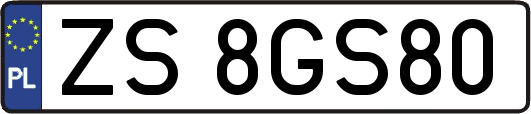 ZS8GS80