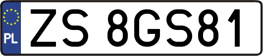 ZS8GS81