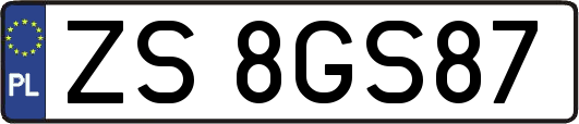 ZS8GS87