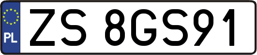 ZS8GS91