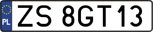 ZS8GT13