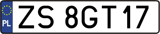 ZS8GT17
