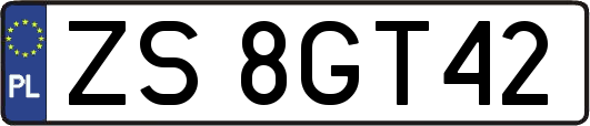 ZS8GT42