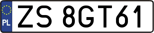 ZS8GT61