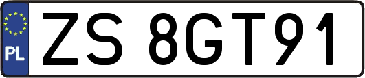 ZS8GT91