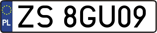 ZS8GU09