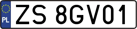 ZS8GV01