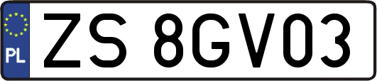 ZS8GV03