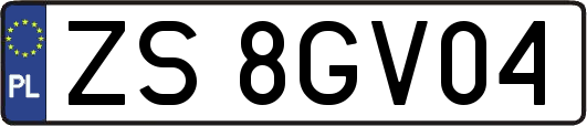 ZS8GV04