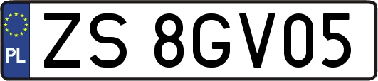 ZS8GV05