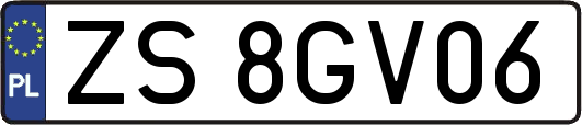 ZS8GV06