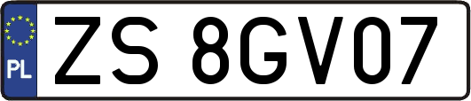 ZS8GV07
