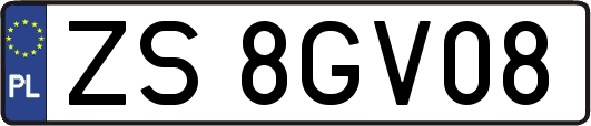 ZS8GV08