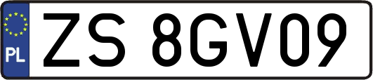 ZS8GV09