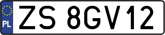 ZS8GV12