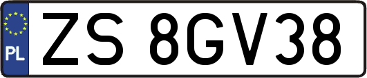 ZS8GV38