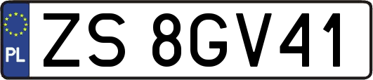 ZS8GV41