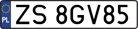 ZS8GV85