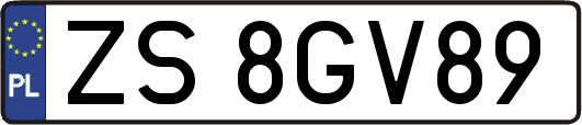 ZS8GV89