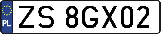ZS8GX02