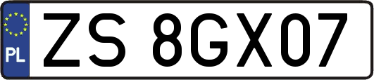 ZS8GX07