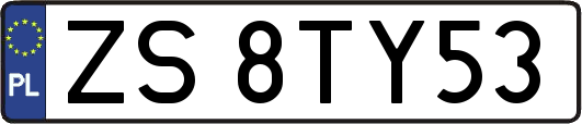 ZS8TY53