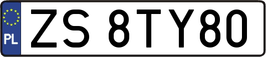 ZS8TY80