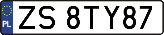 ZS8TY87