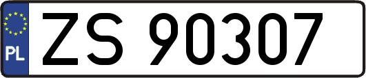 ZS90307