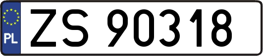 ZS90318