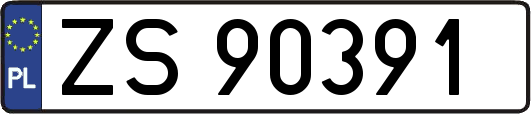 ZS90391