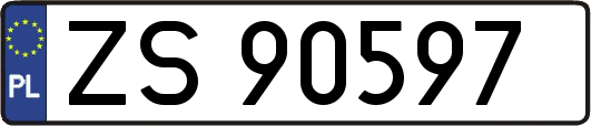 ZS90597