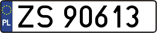 ZS90613