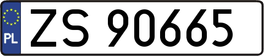 ZS90665