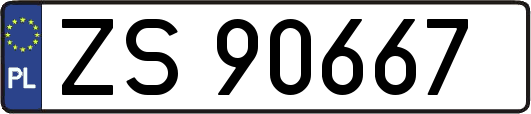 ZS90667