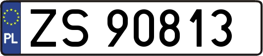 ZS90813
