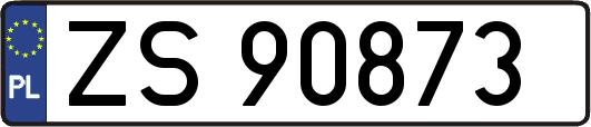 ZS90873