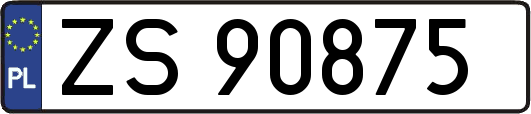 ZS90875