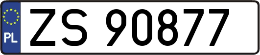 ZS90877
