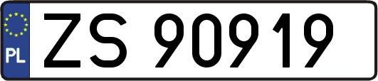 ZS90919
