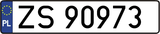 ZS90973