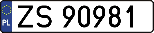 ZS90981