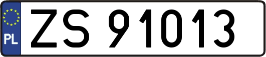 ZS91013