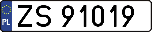 ZS91019