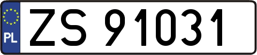 ZS91031