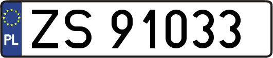 ZS91033