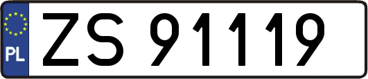 ZS91119
